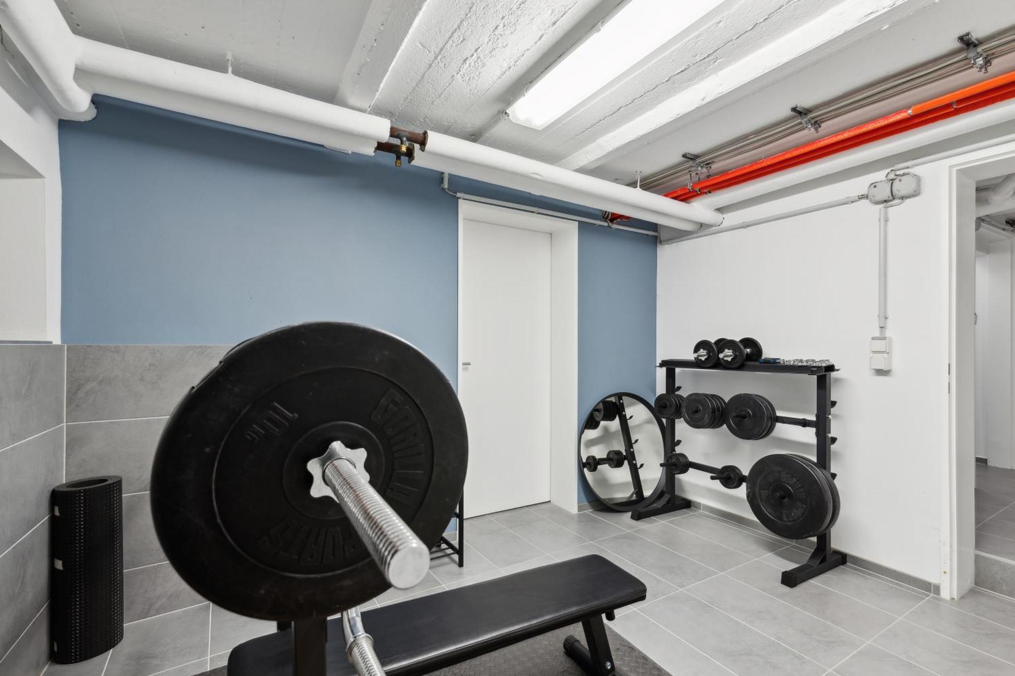 Modern Living - Basf - Ma - Pfalz - 1 Gym 2 Working Spaces Ludwigshafen am Rhein Ngoại thất bức ảnh